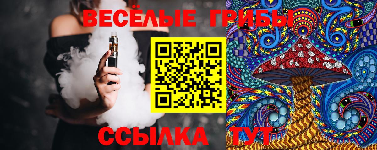 Галлюциногенные грибы Cubensis  Псилоцибиновые грибы MAGIC MUSHROOMS  Шелехов  Вход с VPN 